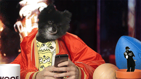 New trending GIF tagged dog texting pomeranian snoop… | Trending Gifs
