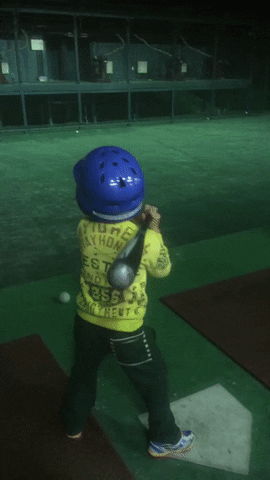 foxliao  GIF