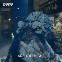 200.gif?cid=fc005b0847c36103cfbac4c8839036fc1f4bf58be7b225ff&rid=200.gif&ct=g