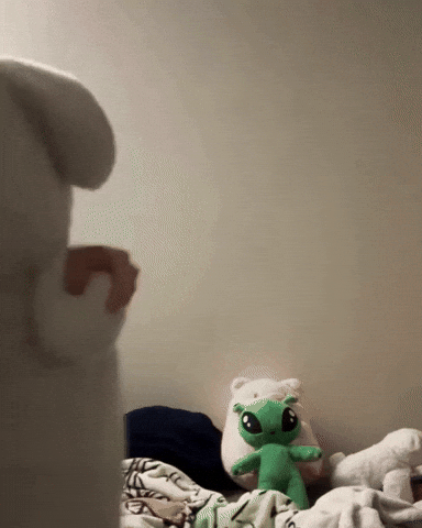 Dog Puppy GIF