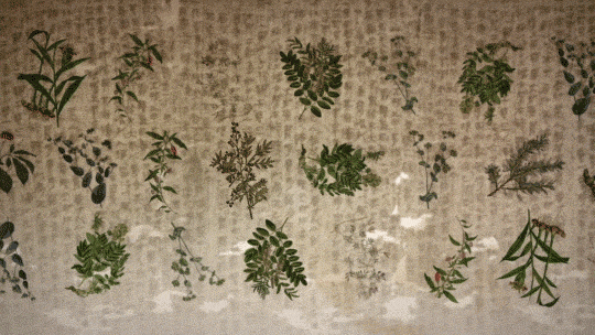 Our Comprehensive Botanical Witchipedia 18 medicine mao GIF