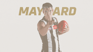 magpies gopies GIF by CollingwoodFC