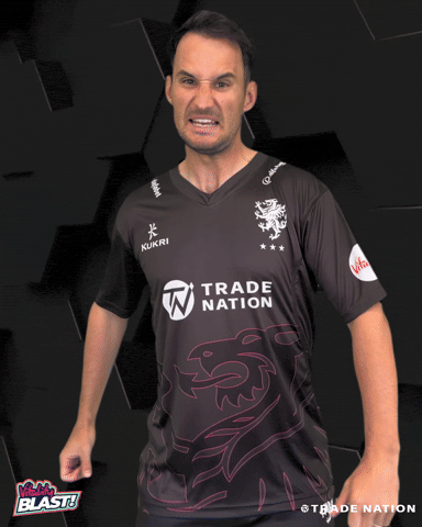 GIF by Somerset County Cricket Club