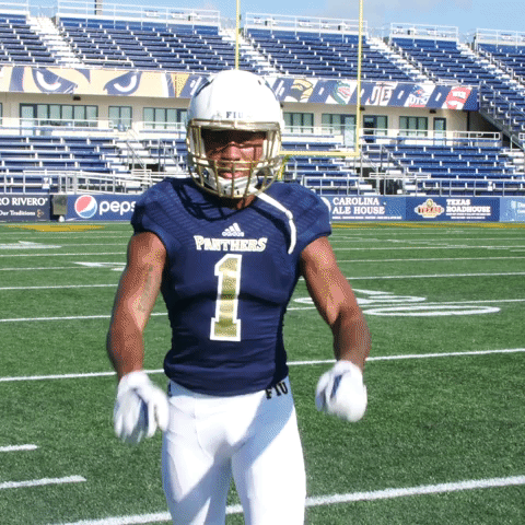 fiufootball pantherpride GIF by FIU
