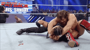 tap out seth rollins GIF by WWE