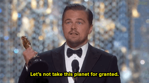 Leonardo Dicaprio Film GIF