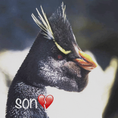 Son Heartbreak GIF