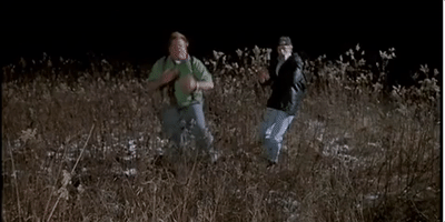 Tommy Boy Bees GIF