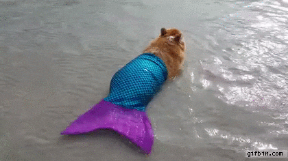 I love mermaids