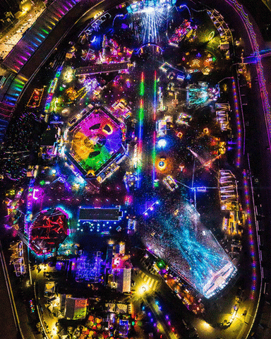 Las Vegas Festival GIF by Insomniac Events