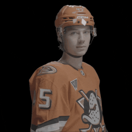 Hockey Stick GIF by Anaheim Ducks