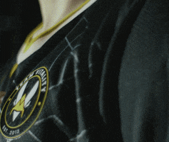 League Of Legends Lol GIF by Team Vitality