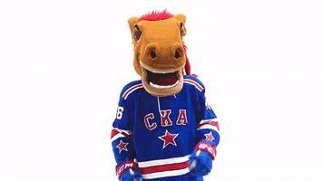 Happy Dance GIF by SKA Ice Hockey Club