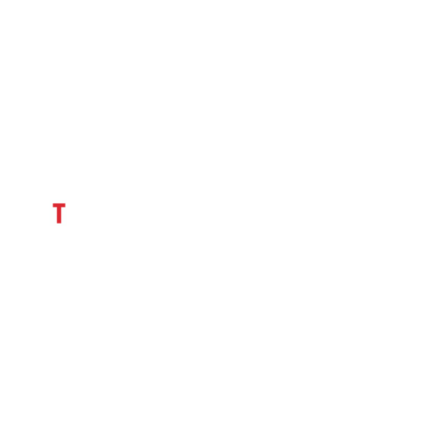 transmaldivian Sticker