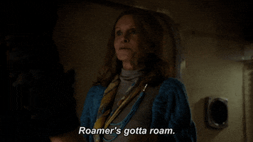 roam fox tv GIF by Lethal Weapon
