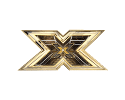 One Direction Flash Sticker