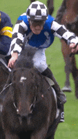 Melbourne Cup GIF by World Horse Racing