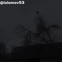 Islomov GIF