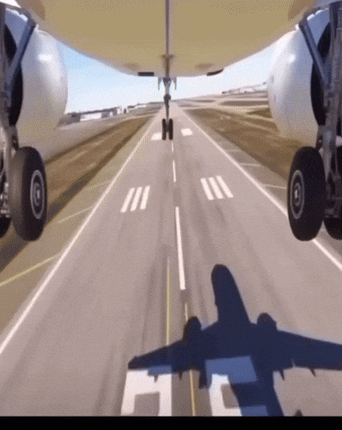 Plane Landing GIF