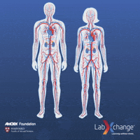 science-biology-labxchange-eCNcFbev3ydP2Vf9SI