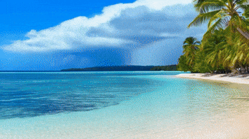 Beach Day Love GIF