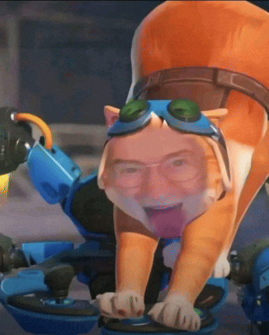 Cat Overwatch GIF