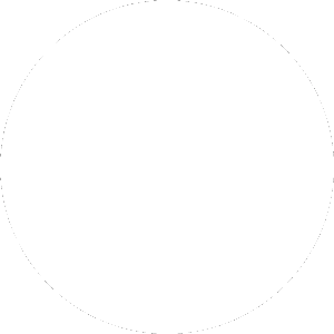 Shar Borg Team Sticker