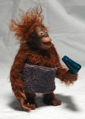 https://media2.giphy.com/media/eE7sR2kbbmtJ6/giphy.gif?cid=28f76e61gitaug754cky6ps2b9nu7n0mcuis76ko2ym002pe&rid=giphy.gif&ct=g