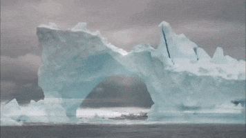 Antarctic GIFs - Get the best GIF on GIPHY