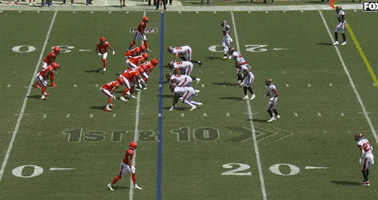 Fields Sack Week 2 GIF