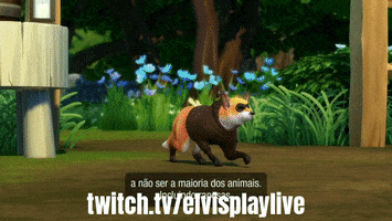 Raposa GIF