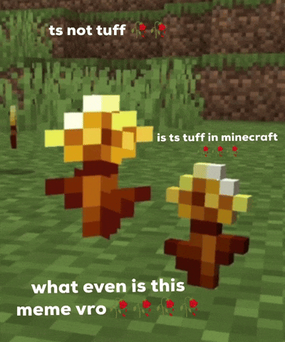 What Even Is This Meme Vro GIF