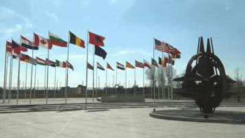 Strongertogether Otan GIF by NATO