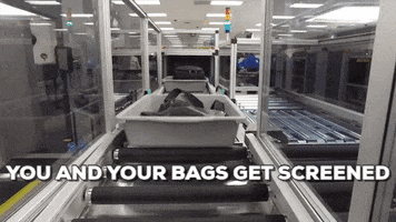 bcbodnar  GIF