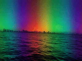 ArtZMiami GIF