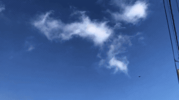 Japan GIF