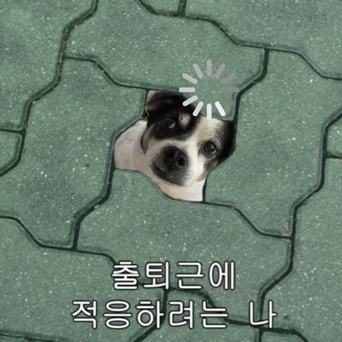 Dog Work GIF