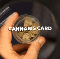 Cannabis Card GIF