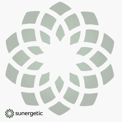 Suner GIF by Sunergetic
