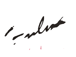 Hulya Guzellik Sticker