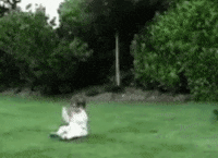 Im Kicking My Ass Gifs Get The Best Gif On Giphy Im Kicking My Ass Gifs Get The Best Gif On Giphy