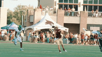 San Marcos Sport GIF by Texas State Football