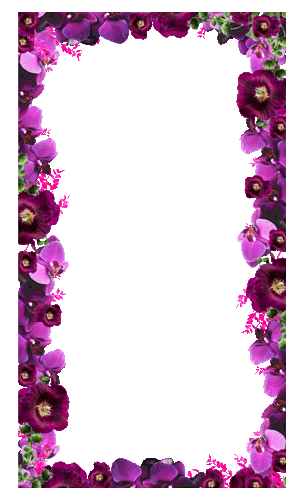 giphy.gif?cid=ecf05e476a7af211f76ab6ce2d