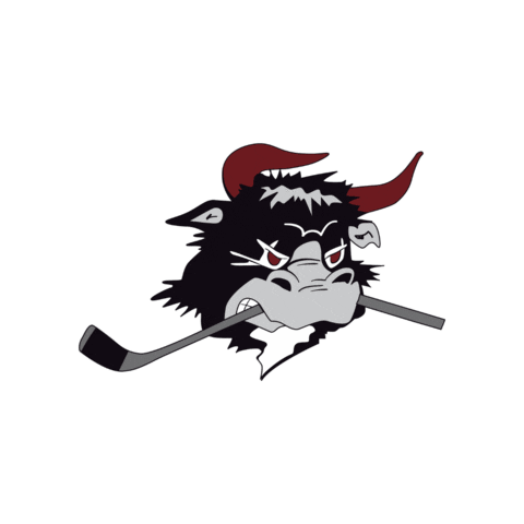 rodovremightybulls Sticker