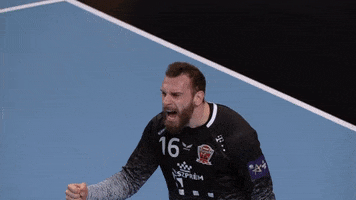 Angry Celebration GIF by EHF