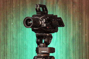 Edelkrone GIF