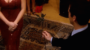 Rose Love GIF by The Bachelor