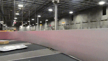 DHL Express GIF