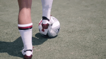 ncaa soccer GIF by gamecocksonline