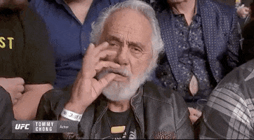 Tommy Chong Smoking GIF by UFC